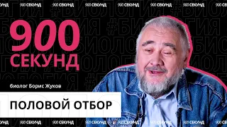 Что такое половой отбор и работает ли он у людей? Биология за 900 секунд!