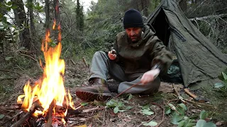 Bushcraft camp deep in the woods solo adventure-roast steak with  makeshift grill, etc