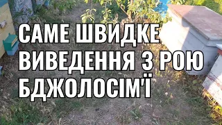 САМЕ ШВИДКЕ ВИВЕДЕННЯ З РОЮ БДЖОЛОСІМ'Ї