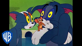 Tom y Jerry en Latino | Tom, el dormilón | WB Kids
