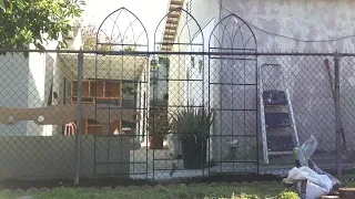 Gothic Gardening: Creating a Privacy Screen/Fence Between Me and My Neighbors