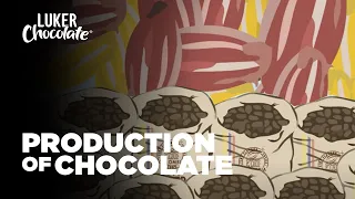 The Production of Chocolate: Bean to Bar Chocolate