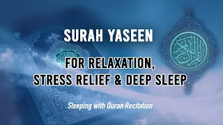 Surah Yaseen | Heart Soothing Recitation for Relaxation, Stress Relief & Deep Sleep