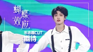 【朱志鑫個人頻道】2023年TF家族《登陸計劃》系列演唱會——蝴蝶效應【期待】CUT