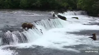 Live Bear Broadcast Booth! - MIKE FITZ/Naomi Boak go Play by Play at Brooks Falls! July 13th, 2021