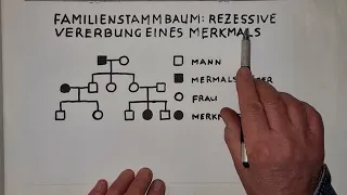 Familienstammbäume 2: Seine COUSINE zu HEIRATEN, ist nicht empfehlenswert | lessonsathome