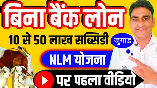 NLM Scheme Subsidy Without Bank Loan New Tricks, Goat and Sheep Farming 2023 बकरी- भेड़ पालन