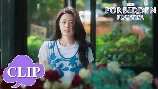 They had a heated argument and broke up? | The Forbidden Flower | EP22 Clip