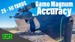 ACCURACY TEST Gamo Magnum SWARM 10X GEN2 in .22 cal - 25 & 50 YARDS!