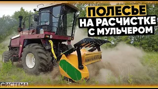 ЗАПУСТИЛИ УЭС-280 С МУЛЬЧЕРОМ / Полесье измельчает деревья