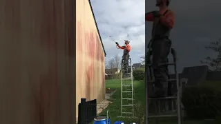 Traitement anti mousse façade sans karcher