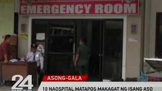 24 Oras: 10 naospital matapos makagat ng isang aso