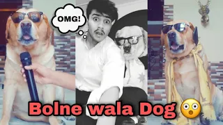 Talking dog videos😂 | dog bol skta hai | OMG😲 | Comedy video | Anant Rastogi