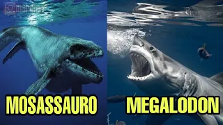 #short MEGALODON vs MOSASSAURO #prehistoricos #mioceno #cretaceo