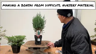 Making Bonsai from Difficult Nursery Material