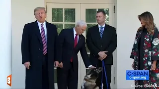 Hero Dog 'Conan' Visits the White House