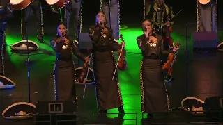 Edcouch-Elsa Mariachi Spring Concert 2024