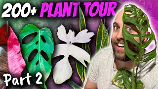 200+ Plant Tour | Part 2 | Variegation Galore!!
