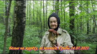 Грибы 14.07.2023. На жарёху белых за полчаса.