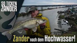 Zanderangeln nach dem Hochwasser! So ticken Zander!