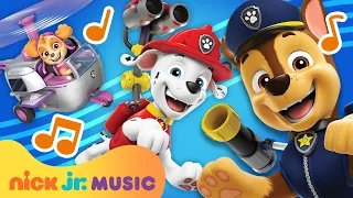 Do You Know the Paw Patrol? Song w/ Chase & Skye! | Nick Jr. Music