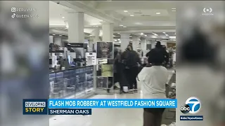 Flash mob targets Sherman Oaks Macy's in smash-and-grab robbery