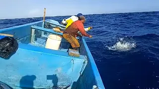 Fishing For Wahoo How To Catch Any Fish Tuna Fish Amazing Fishing Video In Indian Ocean