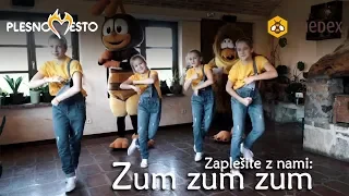 Zapleši z nami: ZUM ZUM ZUM (R. Kranjčan) | Plesno Mesto