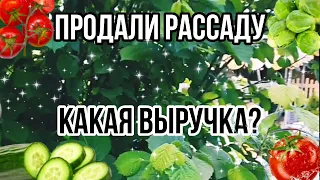 Распродали всю рассаду/Такого результата мы не ожидали!