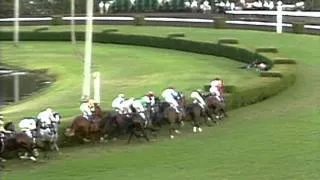 1989 Breeders' Cup Turf