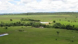 Fazenda a venda no estado do Pará região Sul. 282 Alqueires Total. 150 Alqueires de  Pasto