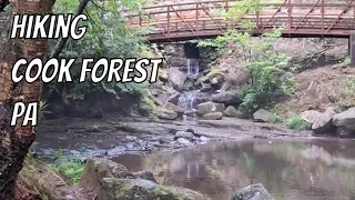 Hiking Cook Forest State Park PA, Forest Cathedral Natural Area