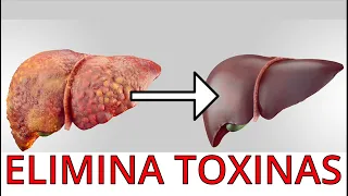 Como ELIMINAR toxinas (Todas las limpiezas y cuando realizarlas)