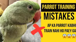 Parrot Training Mistakes #parrottraining #parrot #alexanderparrot #rawparrots #indianringneck