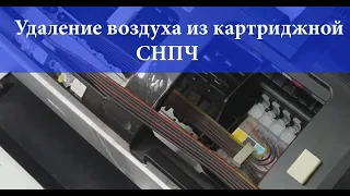 Удаление воздуха из картриджной СНПЧ для принтера Epson