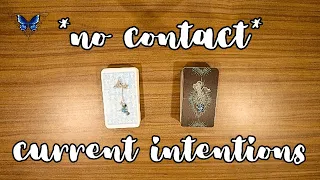 ❤️‍🩹💔 *NO CONTACT/SEPARATION* THEIR CURRENT INTENTIONS 🥺😢 *pick a card* Timeless Tarot Reading 🔮💫