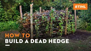 How to build a dead hedge | STIHL