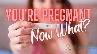 You're Pregnant!  Now What?