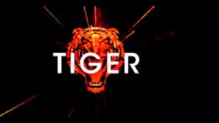 R3hab vs Skytech & Fafaq - Tiger (Official Audio)