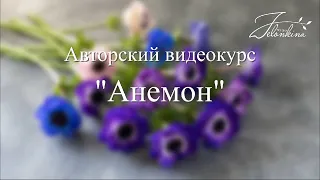 Анемон  ПРОМОролик