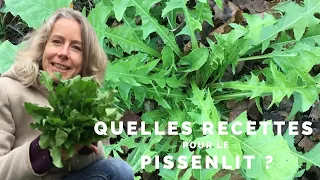 Quelles recettes pour le pissenlit ?