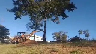 Retro excavadoras  CAT 420F caída de árbol