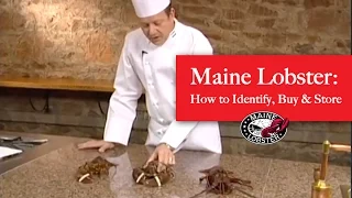 How to Identify, Buy and Store Authentic Maine Lobster