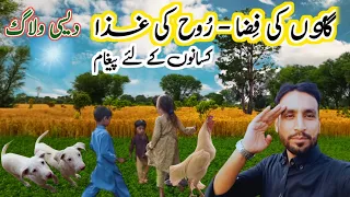 Pakistan 🇵🇰 k sabse khobsurat Gaon ki sair | A visit of stunning Pakistan's village.