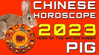 Pig Horoscope 2023 Chinese Predictions