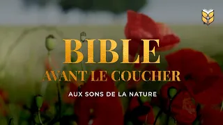 Bible avante le coucher aux sons de la nature #biblevision