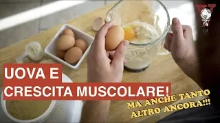 Uova e crescita muscolare (ipertrofia): i benefici delle uova