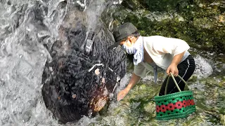 The girl caught a big clam at the bottom of the river and harvested a pile of magnificent pearls