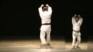 Itosu no Passai - Yasuhiro Uema Sensei