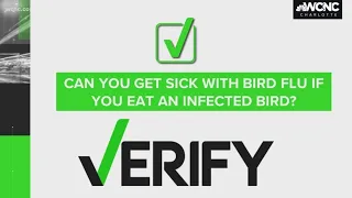 Yes, you can get infected with bird flu by eating an infected bird, but it's rare